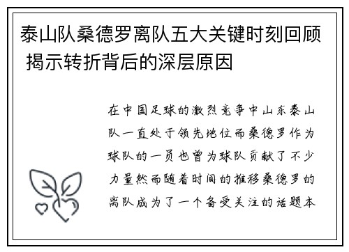 泰山队桑德罗离队五大关键时刻回顾 揭示转折背后的深层原因