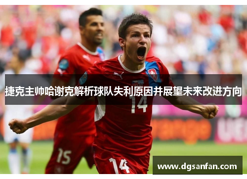捷克主帅哈谢克解析球队失利原因并展望未来改进方向