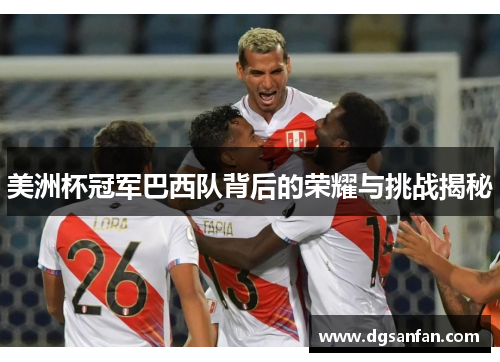 美洲杯冠军巴西队背后的荣耀与挑战揭秘
